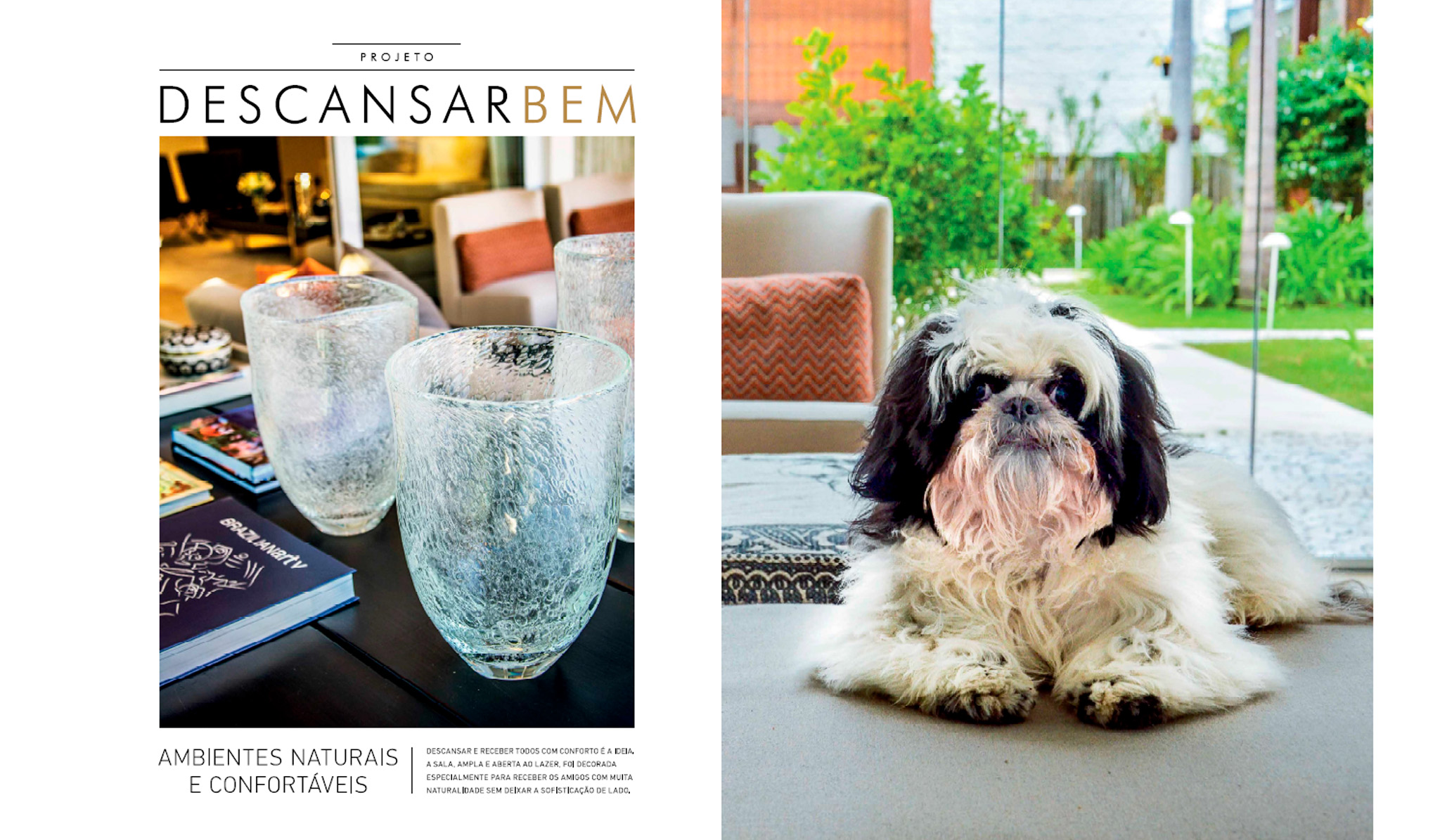 16_18RevistaVitrinniAno1n22014