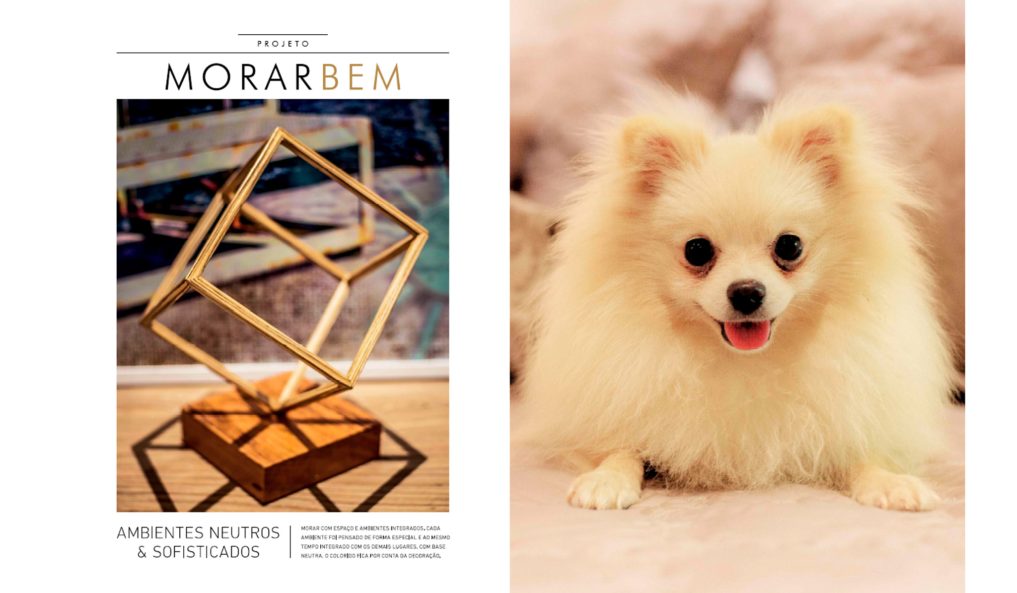 3_18RevistaVitrinniAno1n22014